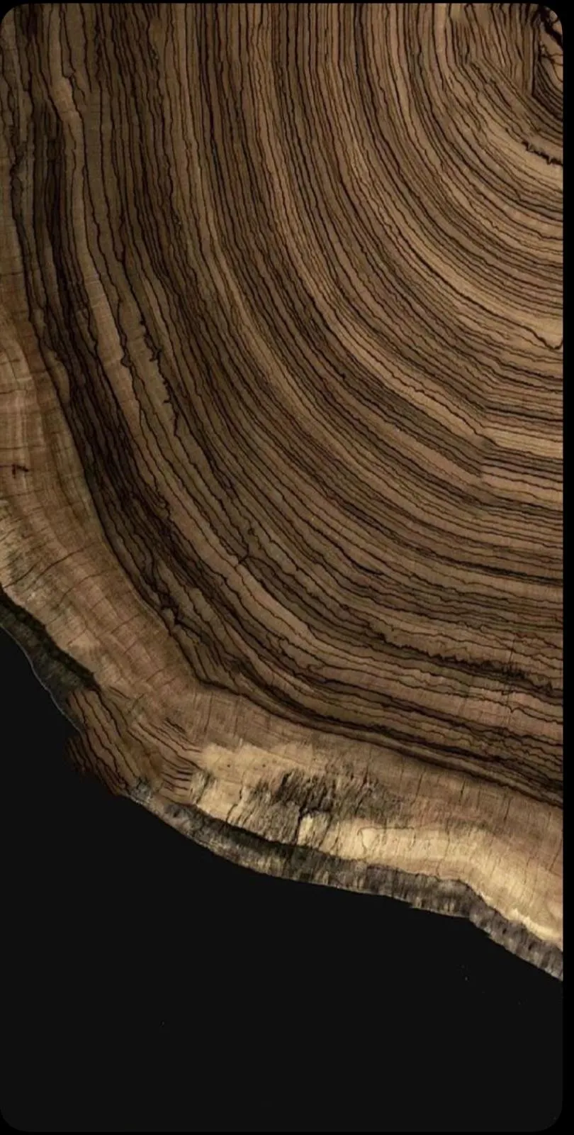 Textura de madera noble